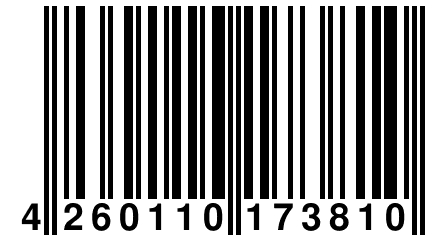 4 260110 173810