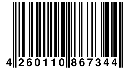 4 260110 867344