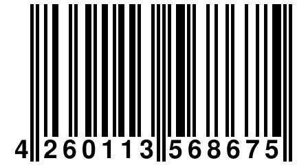 4 260113 568675