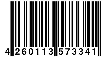 4 260113 573341