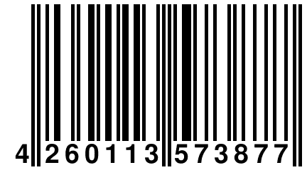 4 260113 573877