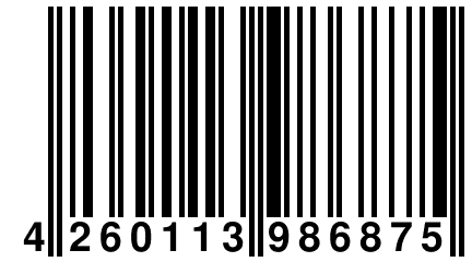 4 260113 986875