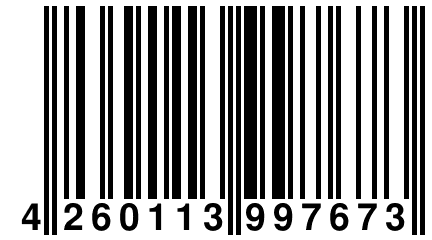 4 260113 997673