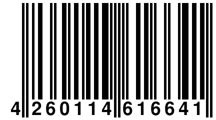 4 260114 616641