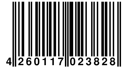 4 260117 023828