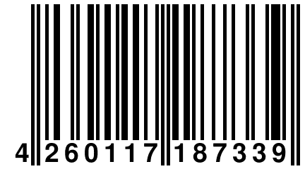 4 260117 187339