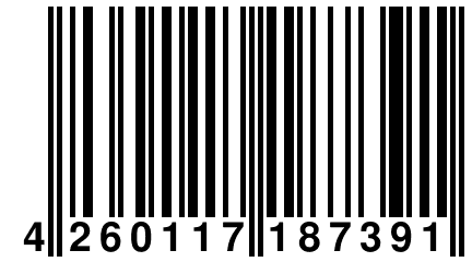 4 260117 187391