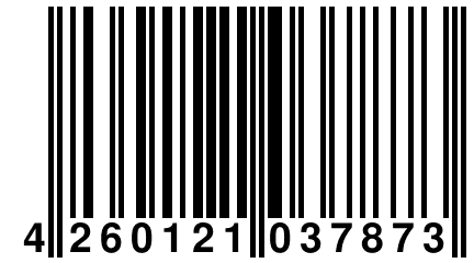 4 260121 037873