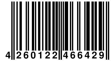 4 260122 466429