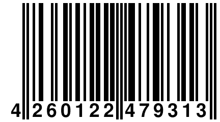 4 260122 479313