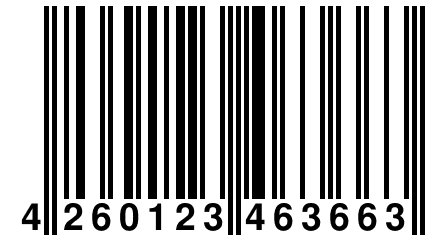 4 260123 463663