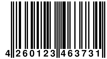 4 260123 463731