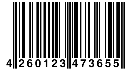 4 260123 473655