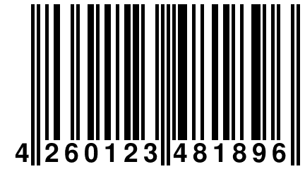 4 260123 481896