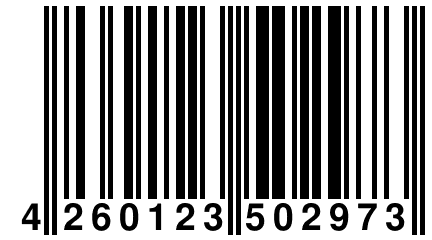 4 260123 502973