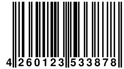 4 260123 533878