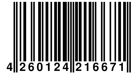 4 260124 216671