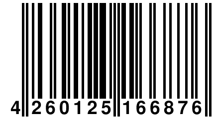 4 260125 166876