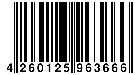 4 260125 963666