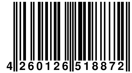 4 260126 518872