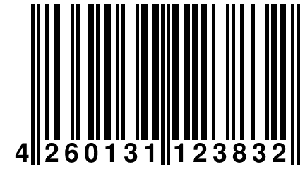 4 260131 123832