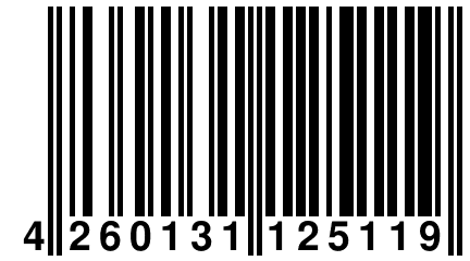 4 260131 125119