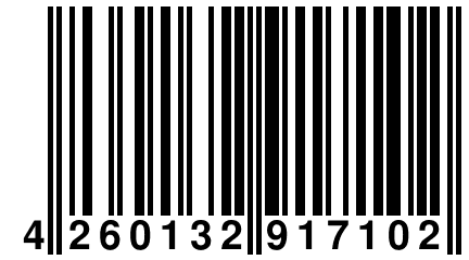 4 260132 917102