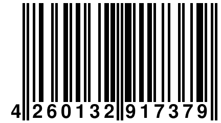 4 260132 917379