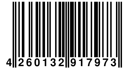 4 260132 917973