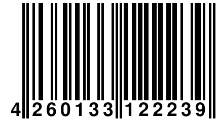 4 260133 122239