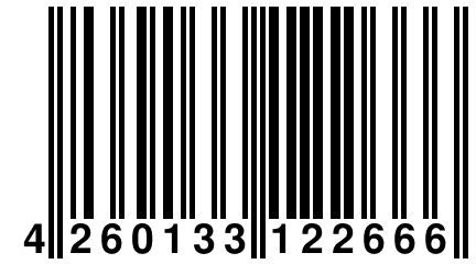 4 260133 122666