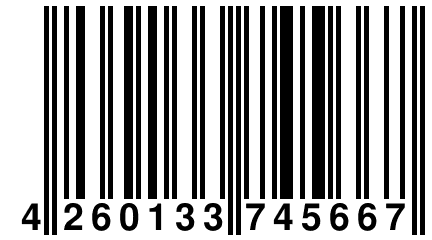 4 260133 745667