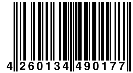 4 260134 490177