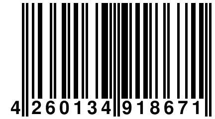 4 260134 918671