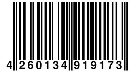 4 260134 919173