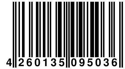 4 260135 095036