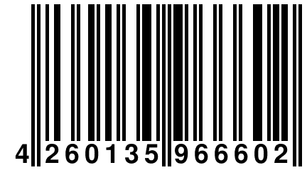 4 260135 966602