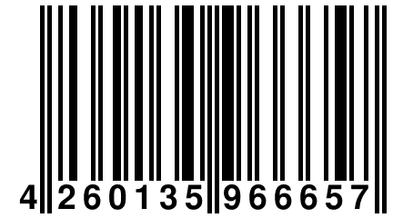 4 260135 966657