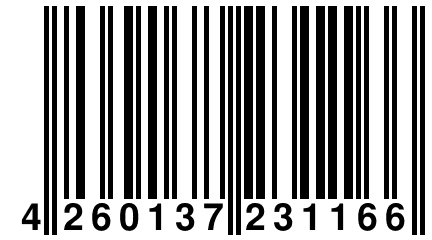 4 260137 231166