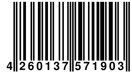 4 260137 571903