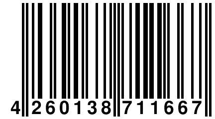 4 260138 711667