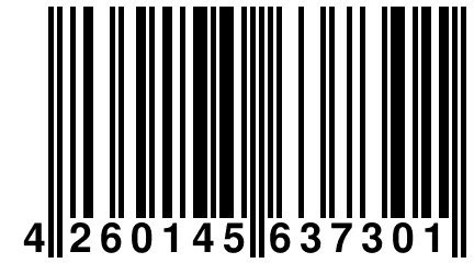 4 260145 637301