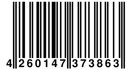 4 260147 373863