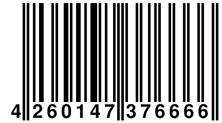 4 260147 376666