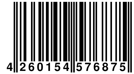 4 260154 576875