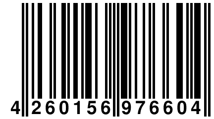 4 260156 976604