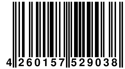 4 260157 529038