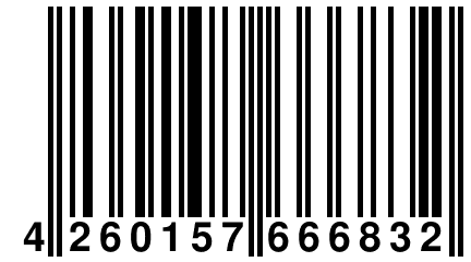 4 260157 666832