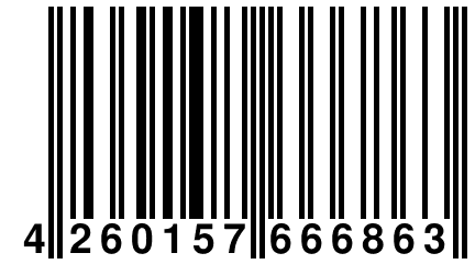 4 260157 666863