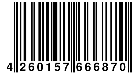 4 260157 666870